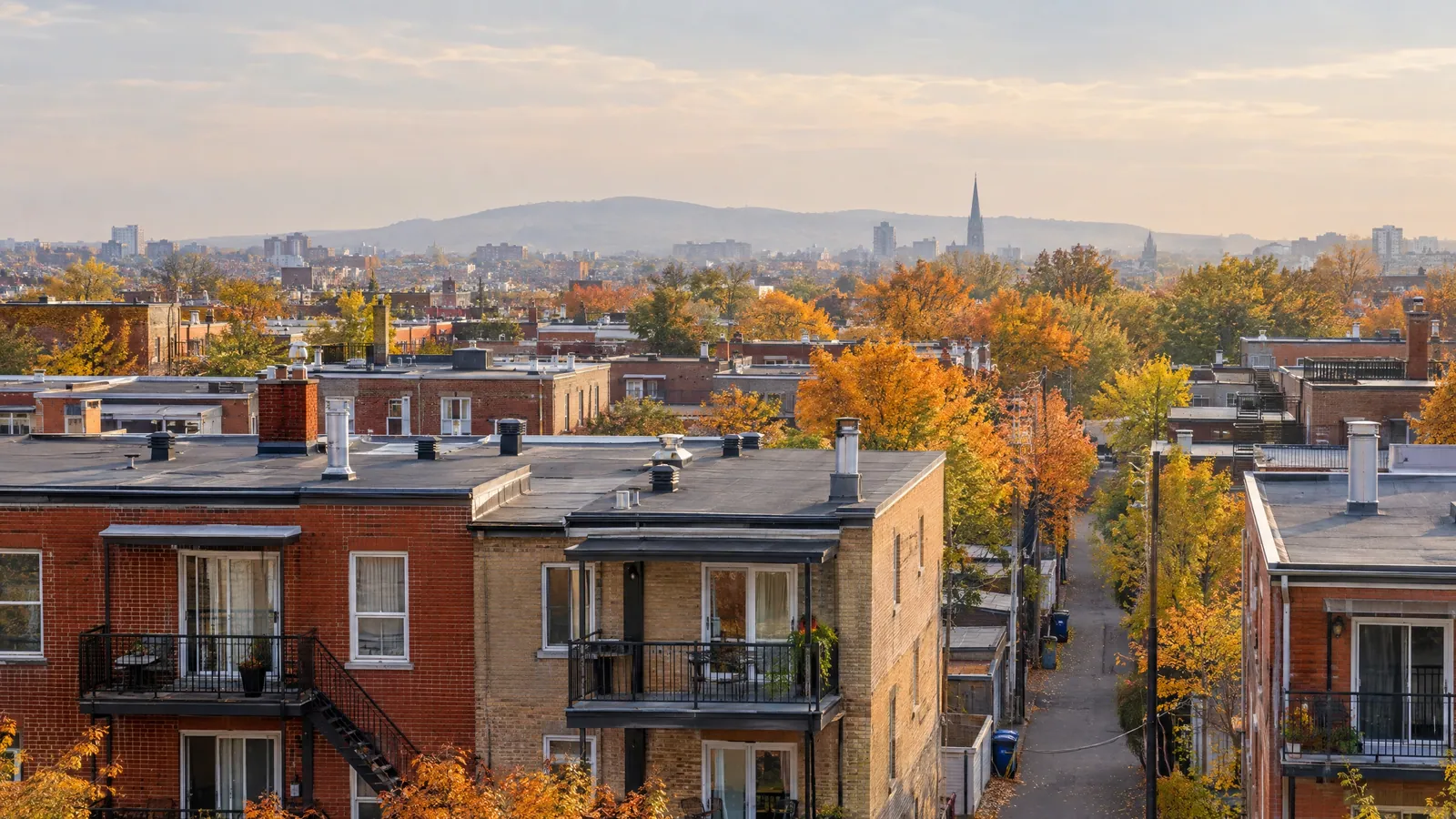Elevated autumn view over flat-roofed brick plexes with rear balconies, an exterior stair and a lane lined with yellow trees, a low mountain and church spire on the horizon